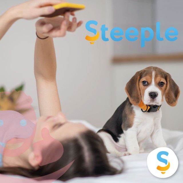enterprise social network steeple