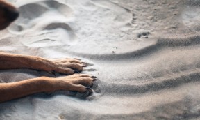 Dog paw pad care