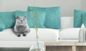 Diffuseur Anti-Stress pour Chat + Recharge