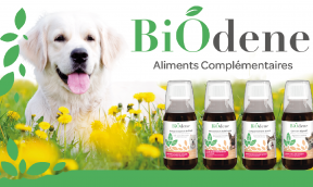 Karmy uzupełniające Biodene®