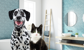 L'igiene dentale di cani e gatti