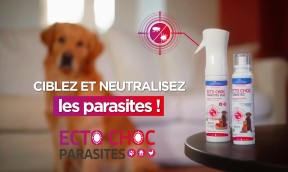 Ciblez et neutralisez les puces, tiques, moustiques, phlébotomes et mouches avec Ecto Choc Parasites