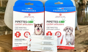 Gel, colliers et pipettes CBD pour le confort articulaire