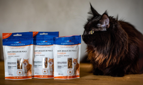 Nos friandises fonctionnelles pour chat !
