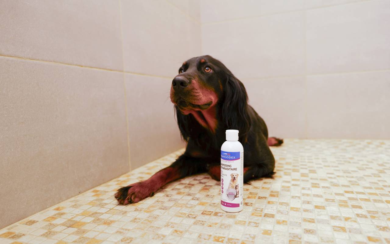 Shampooing, lotion et spray icaridine antiparasitaires Francodex