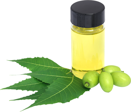 Olio di Neem