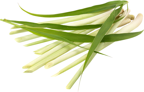 Lemongrass