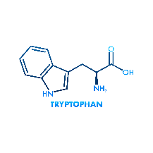 L-triptofano