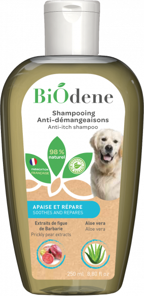 Anti-Itching Shampoo