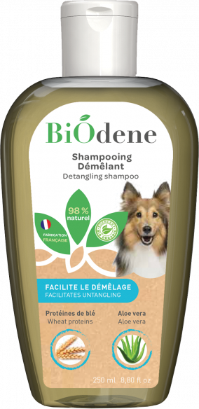 Detangling Shampoo