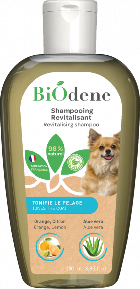 Revitalising Shampoo