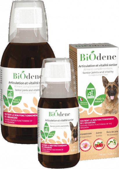 Articulaciones y vitalidad sénior