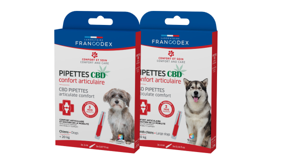 CBD Spot-On Articulate Comfort