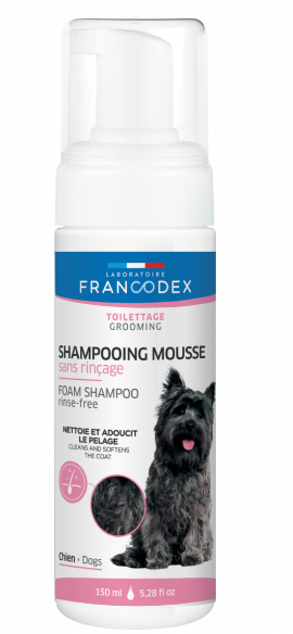 Shampooing Mousse sans rinçage