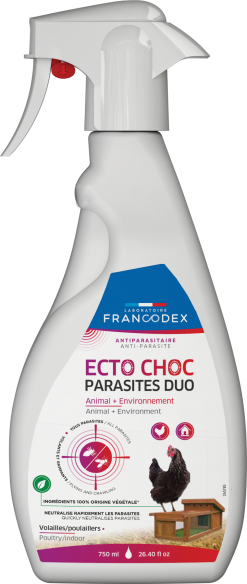 Ecto Choc Parasites Duo