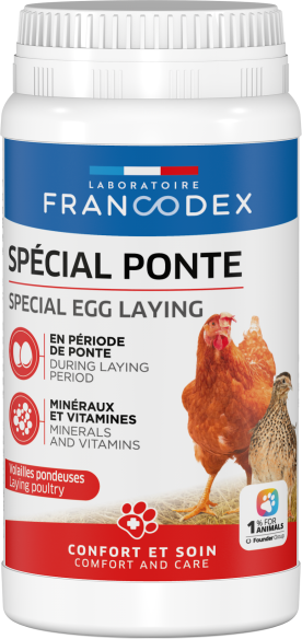 Spécial Ponte