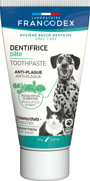 Dentifrice en Pâte
