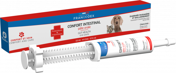 Pâte orale confort intestinal