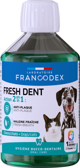 Fresh Dent