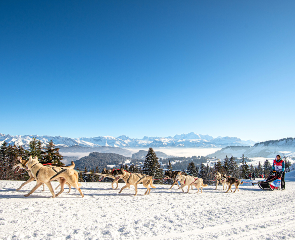 La Grande Odyssée, l'étape 7A sponsorisée par Francodex - Samedi 17 Janvier 2026 !