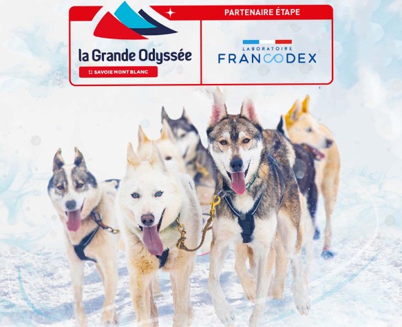La Grande Odyssée