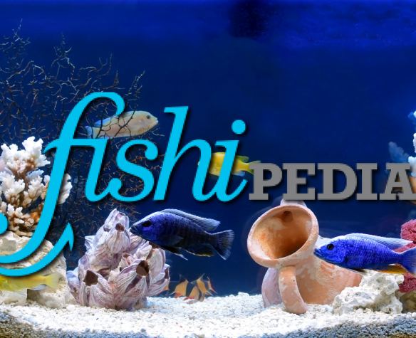 Fishipedia