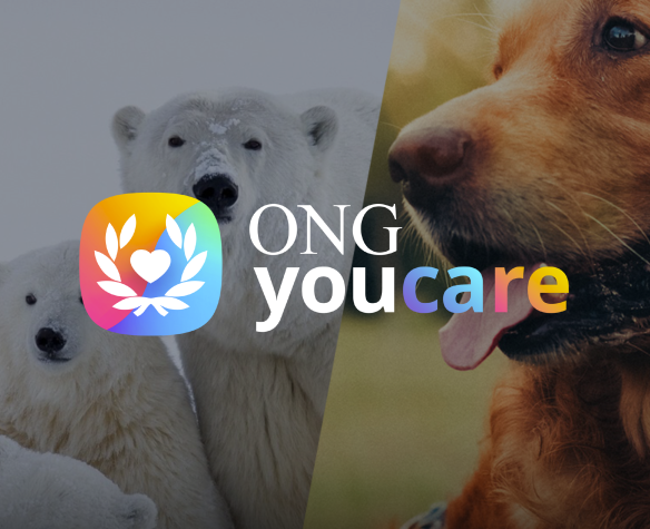 ONG YouCare
