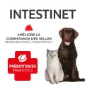 Intestinet Tablets