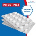 Intestinet Comprimés