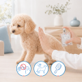 Parfum Baby Dog 50ml