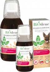 Articulaciones y vitalidad sénior