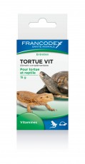 Tortue Vit