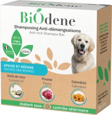 Shampooing Solide Anti-démangeaisons