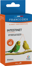 Intestinet