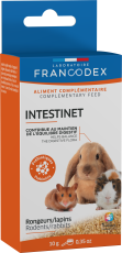 Intestinet