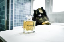 Parfum Gourmandise