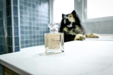 Parfum Charmant