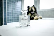 "Mistinguette" Perfume