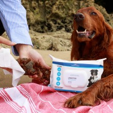 Cleansing Wipes