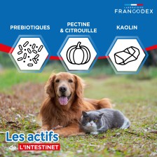 Intestinet Comprimés