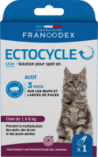 Ectocycle Chat
