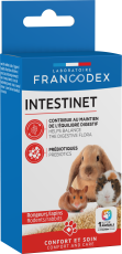 Intestinet