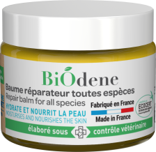 Repair Balm