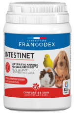Intestinet