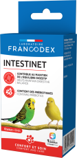 Intestinet