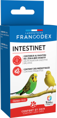 Intestinet