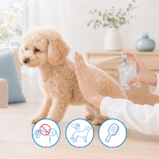 Parfum Baby Dog 50ml
