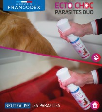 Ecto Choc Parasites Duo