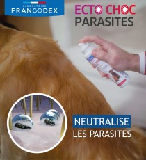Ecto Choc Parasites