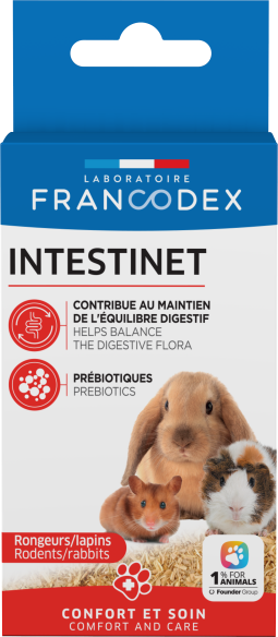 Intestinet 10 g